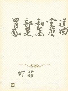 胃部和食道烧灼感是怎么回事