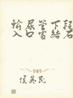 输尿管下段膀胱入口处结石