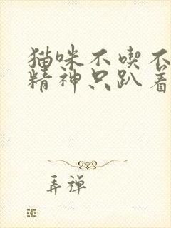 猫咪不吃不喝没精神只趴着