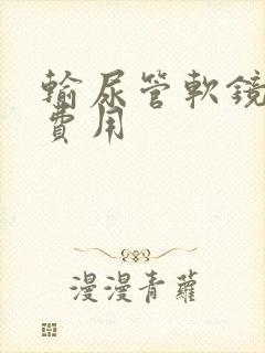 输尿管软镜取石费用