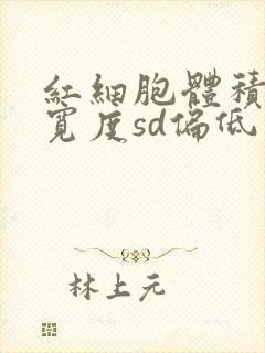 红细胞体积分布宽度sd偏低