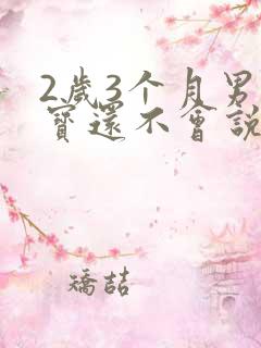 2岁3个月男宝宝还不会说话