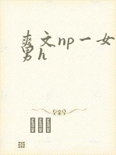 爽文np一女多男h