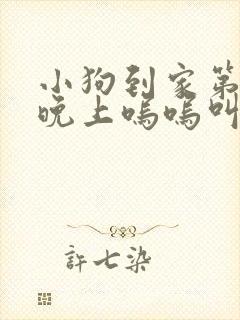 小狗到家第一天晚上呜呜叫