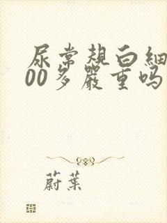 尿常规白细胞200多严重吗