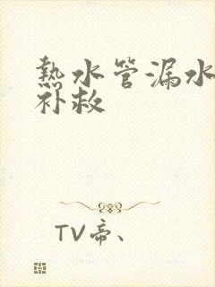 热水管漏水怎么补救