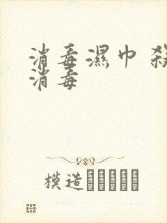 消毒湿巾 杀菌消毒