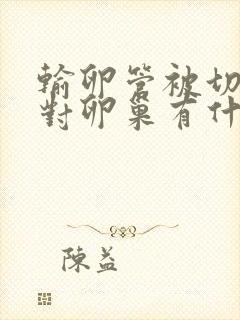 输卵管被切掉了对卵巢有什么影响