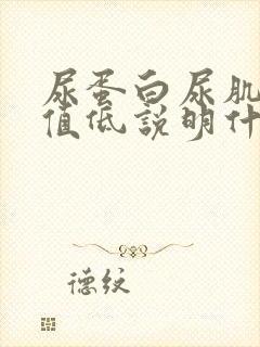 尿蛋白尿肌酐比值低说明什么