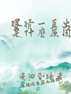 眼睛一直出眼屎是什么原因