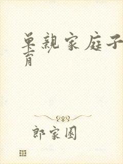 单亲家庭子女教育