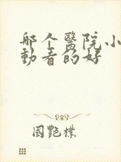 哪个医院小儿好动看的好