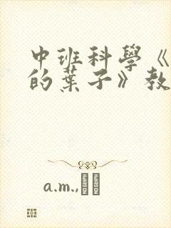 中班科学《有趣的叶子》教案