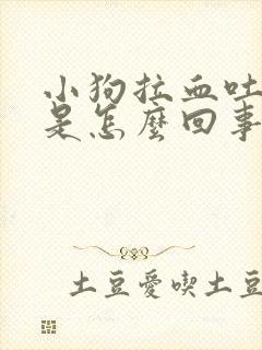 小狗拉血吐白沫是怎么回事