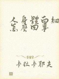 人身体白细胞高怎么回事