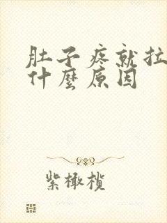 肚子疼就拉肚是什么原因