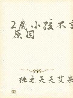 2岁小孩不说话原因