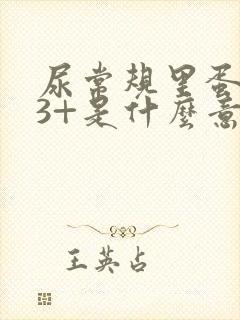 尿常规里蛋白质3+是什么意思