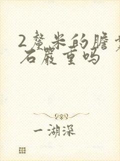 2厘米的胆囊结石严重吗