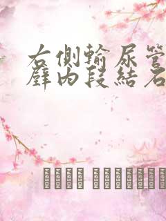 右侧输尿管膀胱壁内段结石在什么位置