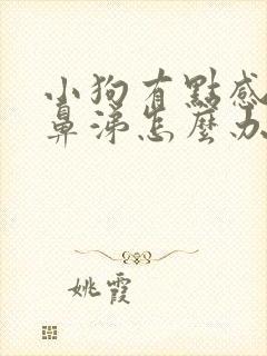 小狗有点感冒流鼻涕怎么办