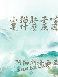 小猫肚子咕咕响是什么原因