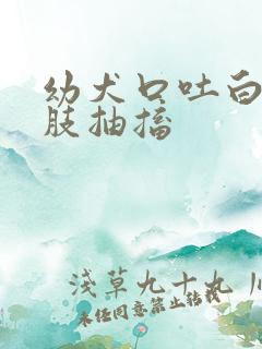 幼犬口吐白沫四肢抽搐