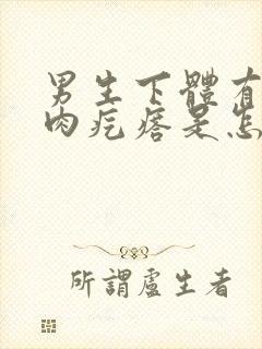 男生下体有一个肉疙瘩是怎么回事