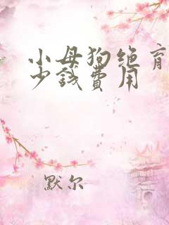 小母狗绝育要多少钱费用