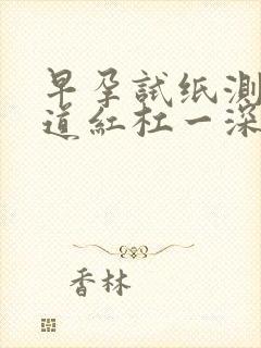 早孕试纸测出两道红杠一深一浅