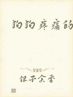 狗狗疼痛的表现