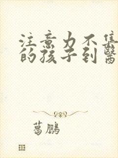 注意力不集中差的孩子到医院挂什么科