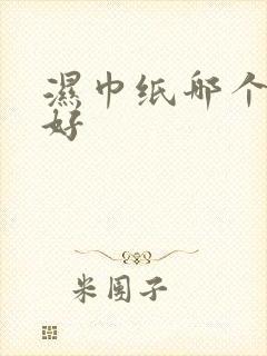 湿巾纸哪个牌子好