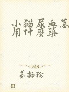 小猫尿血怎么办用什么药