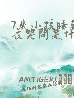 7岁小孩睡到半夜哭闹是什么原因