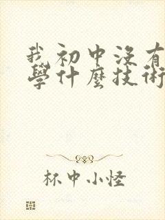 我初中没有毕业学什么技术好