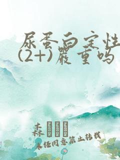 尿蛋白定性阳性(2+)严重吗