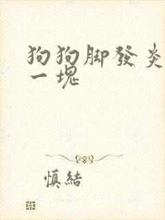 狗狗脚发炎烂了一块