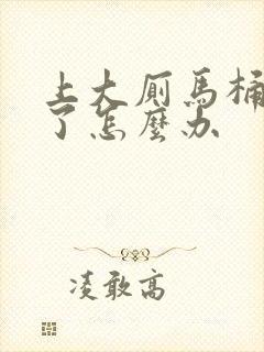 上大厕马桶堵住了怎么办