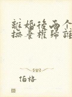 离婚后两个小孩抚养权归谁