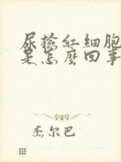 尿检红细胞21是怎么回事