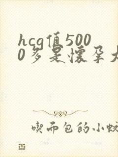 hcg值5000多是怀孕大概多久