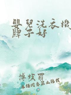 婴儿洗衣机什么牌子好