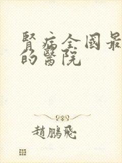 肾病全国最权威的医院