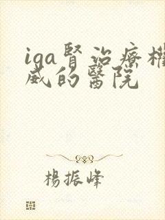 iga肾治疗权威的医院