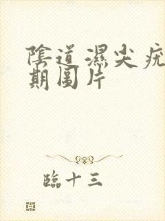 阴道湿尖疣锐初期图片