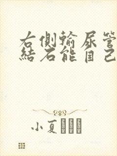 右侧输尿管腹段结石能自己排出吗