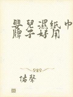 婴儿湿纸巾什么牌子好用