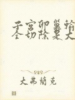 子宫卵巢输卵管全切除是大手术吗