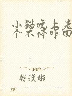 小猫晚上老是叫个不停咋回事